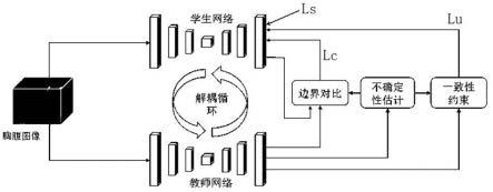 胸腹图像识别模型的训练方法及设备与流程