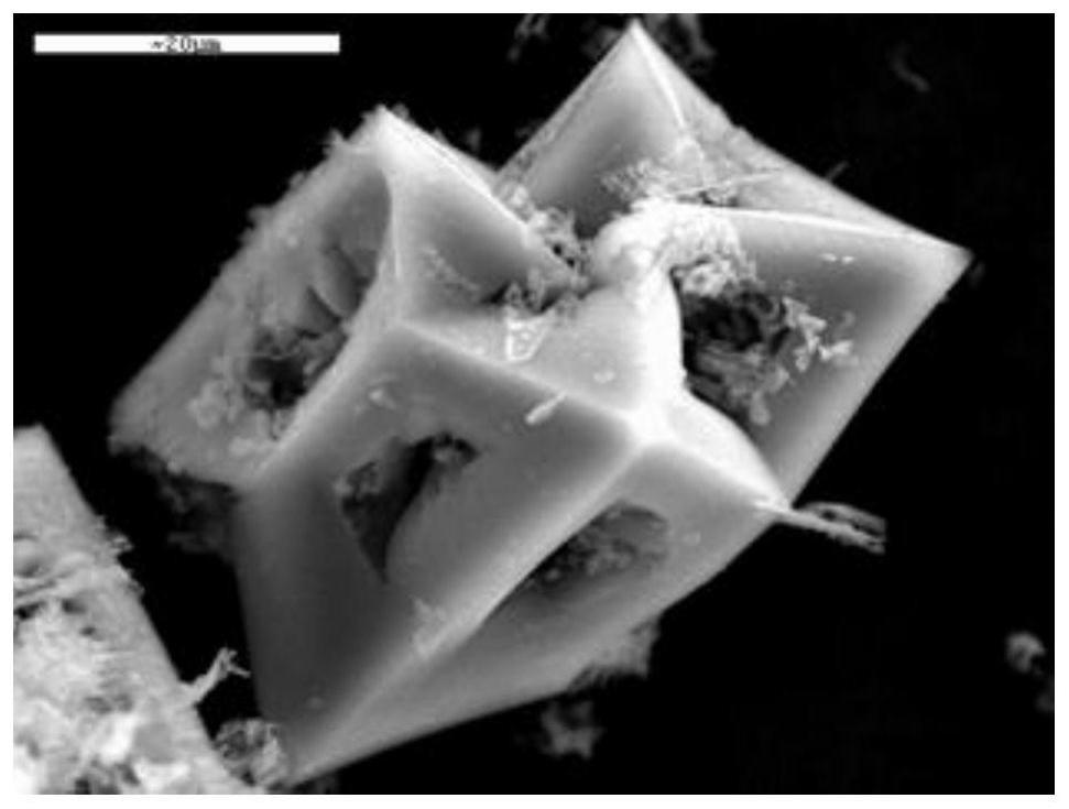 一种过共晶铝硅合金中初生硅颗粒的提取方法与流程