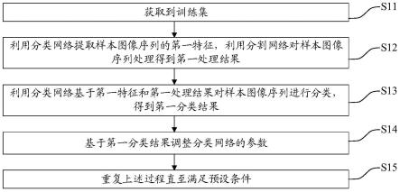 分类网络的训练方法、图像分类方法及相关设备与流程