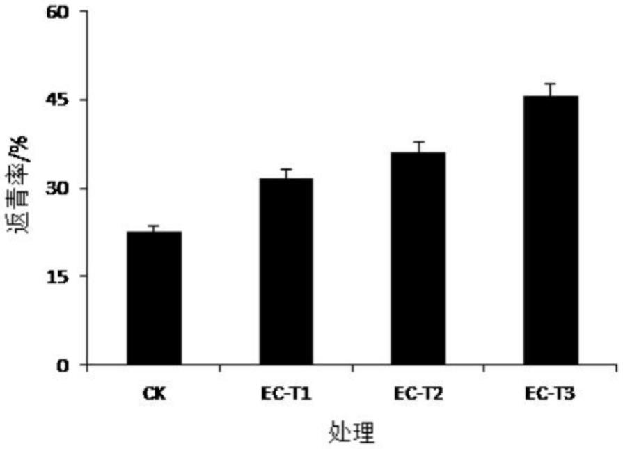 一种促进盐碱地植物越冬返青的酸化C基材料及制备方法