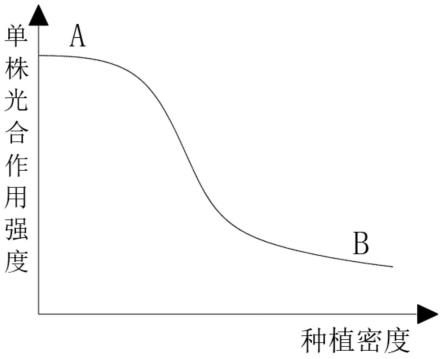 一种立体悬挂育苗方法与流程