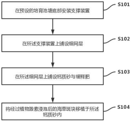 一种海草池塘内快速培育方法