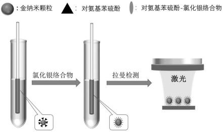 一种高浓度Cl-环境下检测Ag