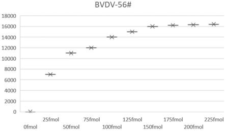 用于同时检测BVDV、BCOV和BRV的液相芯片检测试剂盒及其专用引物和探针