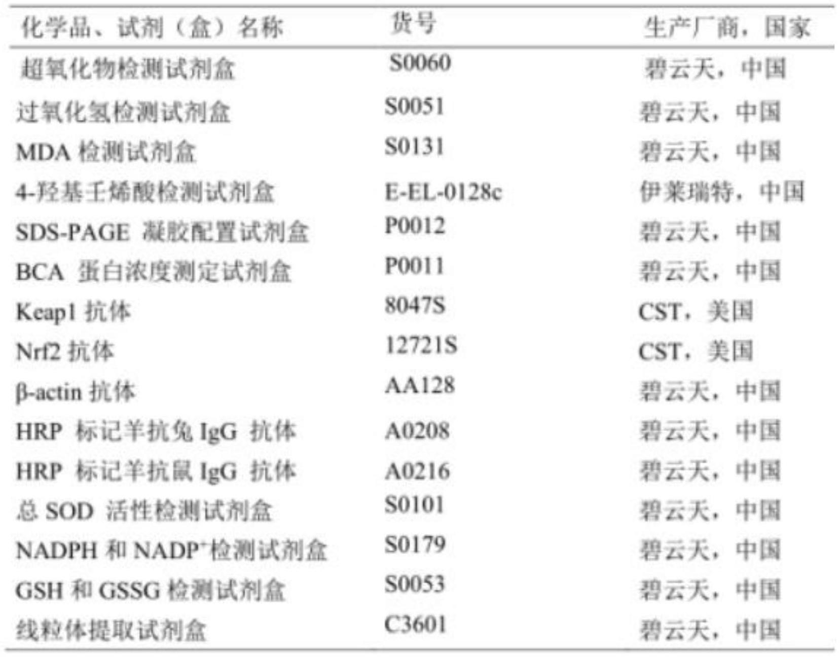 siRNA在制备由G6PD高表达导致细胞恶性转化的疾病的药物中的应用