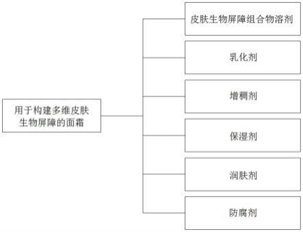 一种用于构建多维皮肤生物屏障的面霜及其制备方法与流程