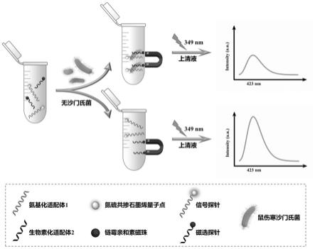 一种基于氮硫共掺石墨烯量子点的荧光探针对鼠伤寒沙门氏菌的检测方法