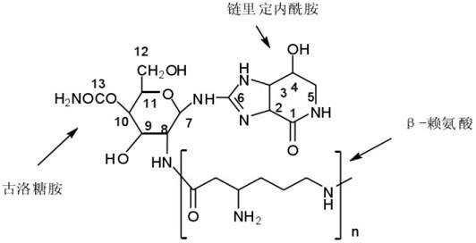 一种高纯度中生菌素D对照品及其制备方法与流程