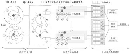 基于图神经网络的合成致死基因预测方法、装置、终端及介质