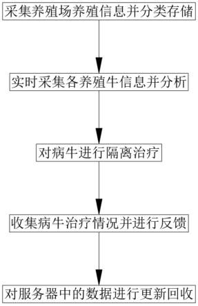 一种治疗牛病毒性腹泻的方法与流程