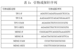 一种定性检测人类DNA中MDM2基因和TP53基因的多态性的方法与流程