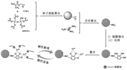 一种复合微球及其制备和在磷酸化肽吸附中的应用的制作方法