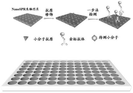 基于NanoSPR的生物芯片在检测食品中小分子化合物上的应用的制作方法