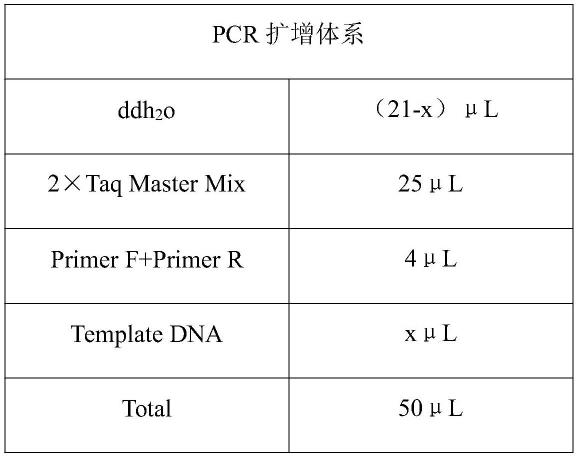 一种在PCR反应体系中提高链霉亲和素磁珠活性的方法与流程