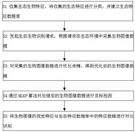 基于MLKP算法的生态生物识别方法与流程