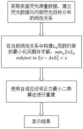 一种基于自适应近邻正交最小二乘算法的光源重建方法