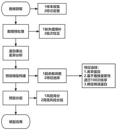 蛋白组合在制备对儿童甲状腺癌进行预后分层的试剂盒中的用途及其试剂盒、系统