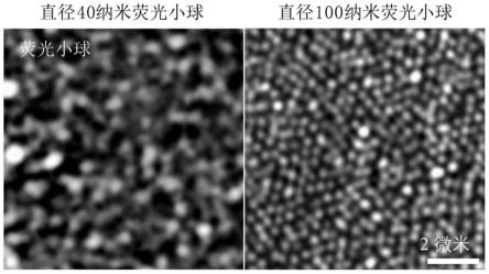 细胞牵引力的测量方法