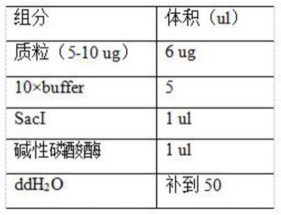 一种酵母优化的工艺制备方法与流程