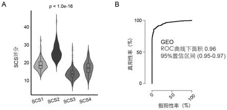 基于分泌细胞富集特征的结肠癌预后及辅助化疗获益的评分模型、构建方法及应用