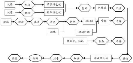 一种皮质醇检测试纸及其制备方法与流程