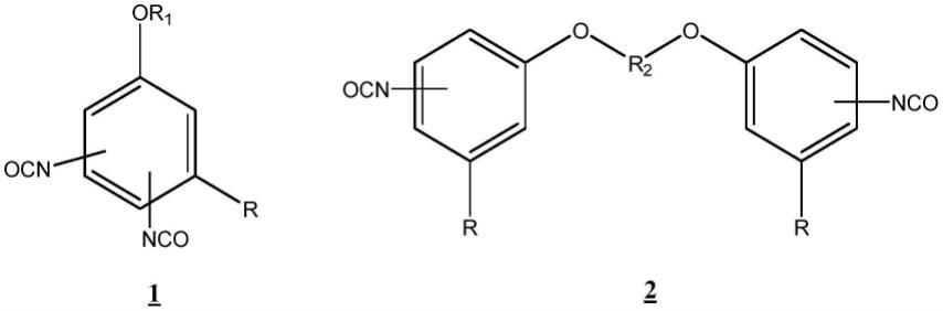 生物基二异氰酸酯及其制备方法、聚氨酯弹性体与流程