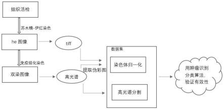 生成包含自动标注文件的基准病理数据集的方法及系统