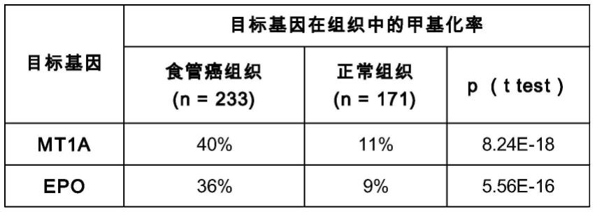 用于检测食道癌的组合物及其用途的制作方法