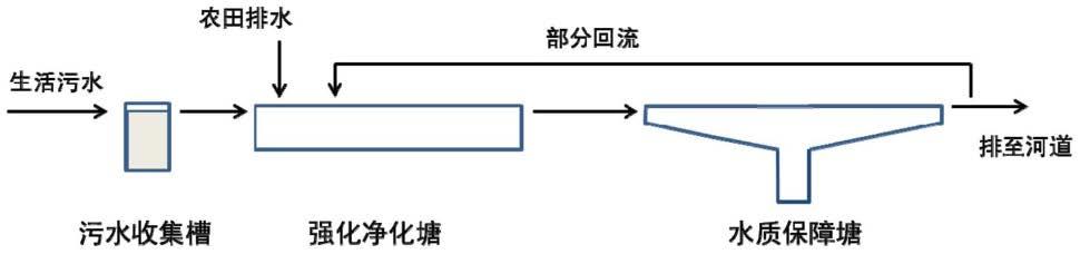 一种农村聚集区生活污水和农田排水的综合处理系统