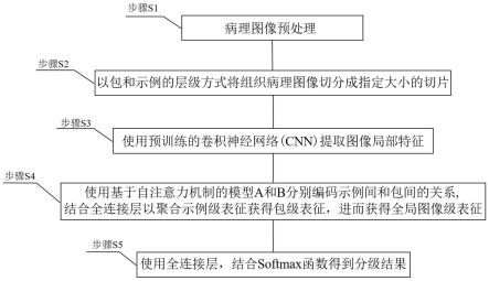 一种基于自注意力机制的弱监督宫颈癌前病变分级方法