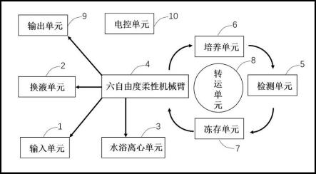 一种全自动细胞培养系统及其方法