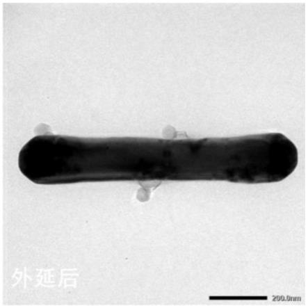 一种单粒子双模NIR激发上转换荧光防伪材料及其制备方法和应用