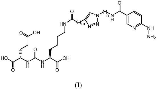 一种含三唑环和肼基尼古酰胺基的谷氨酸-脲衍生物及其应用