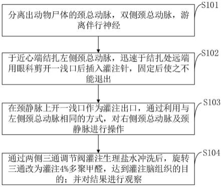 一种灌注固定实验动物脑组织的方法与流程