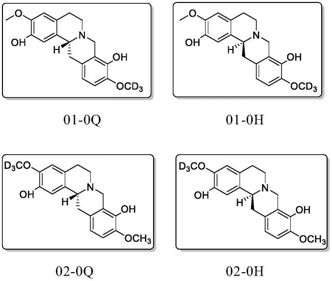 金黄紫堇碱和千金藤啶碱的氘代衍生物及其制备方法与流程