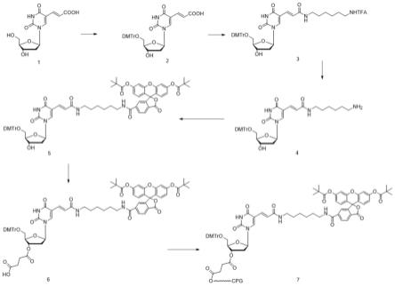 一种荧光染料修饰的脱氧核苷固相载体的制备方法与流程