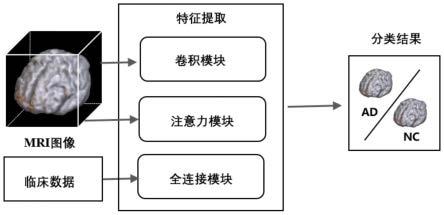 一种基于CBAM-CNN的阿尔兹海默症识别方法