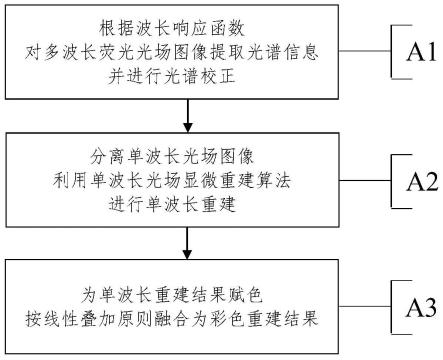 一种光场显微系统的多色同步重建方法