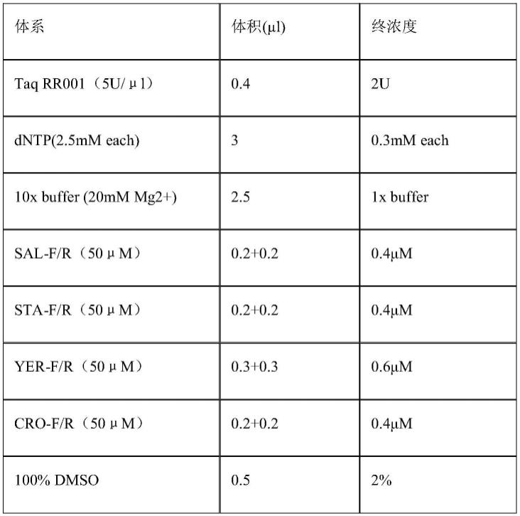 一种检测多种细菌的方法、检测多种细菌的系统及其应用与流程