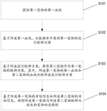 宠物配种对象推荐方法及相关装置与流程