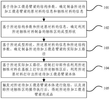 微悬臂梁的制备方法、装置、电子设备及存储介质与流程