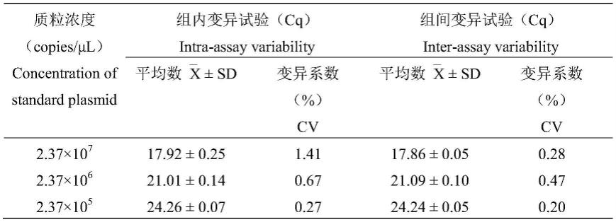 一种基于CP8基因的猫滴虫病的实时荧光PCR诊断方法