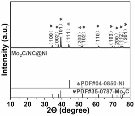 一种三维多孔Mo2C/NC@Ni复合制氢材料及其制备方法和应用