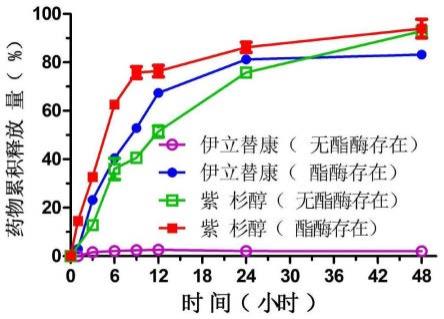 一种共载紫杉醇和伊立替康前药纳米制剂及其制备方法