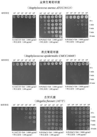 一种改进增效的妥布霉素滴眼液及制备方法