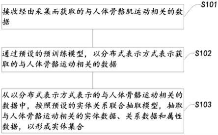 人体运动系统数据医疗模型构建方法、系统及其应用与流程