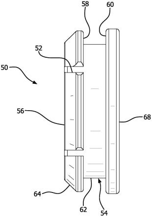 柱塞活塞和注射器的制作方法