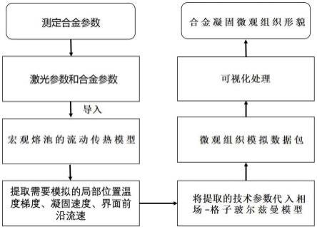 一种基于相场-格子波尔茨曼方法的多尺度模型预测合金凝固微观组织形貌的方法