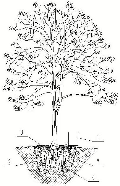 一种树木节水养护装置的制作方法