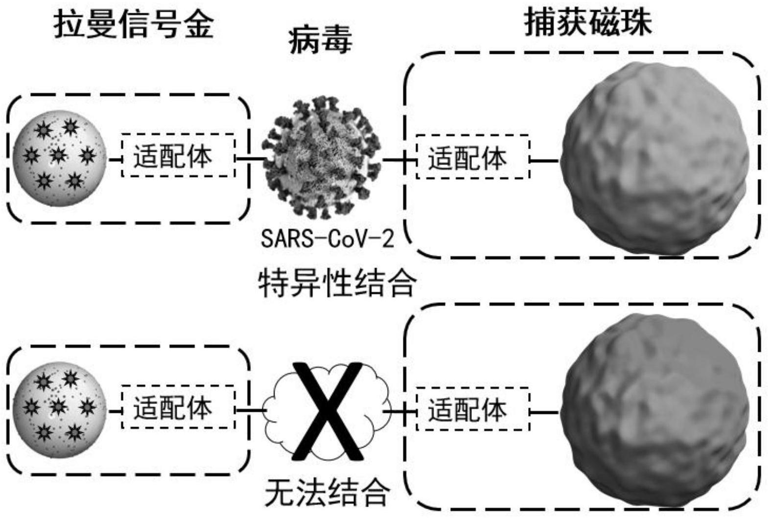 一种基于核酸适配体特异性识别的SARS-CoV-2表面抗原SERS检测方法